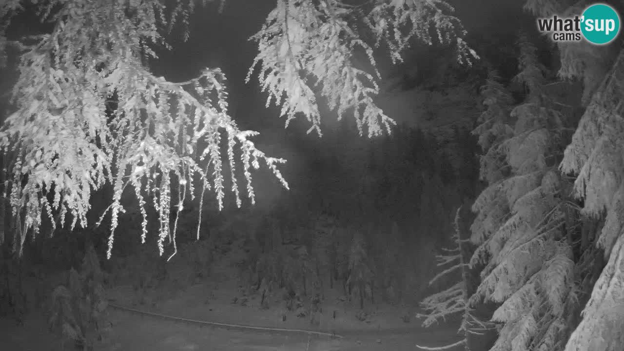 Live webcam Vršič – Baita di montagna Erjavčeva – Slovenia