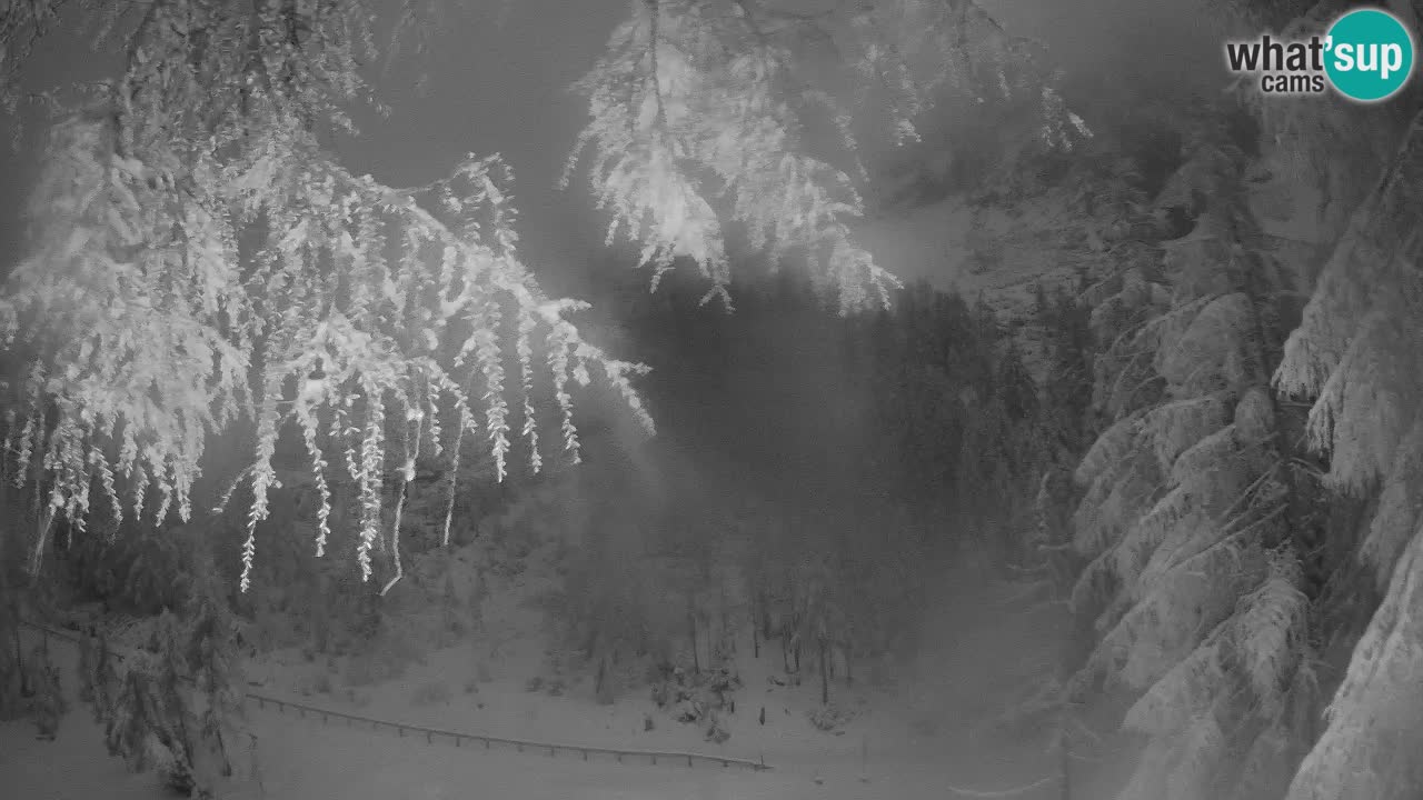 Live Webcam Vršič – Haus Erjavčeva – Slowenien