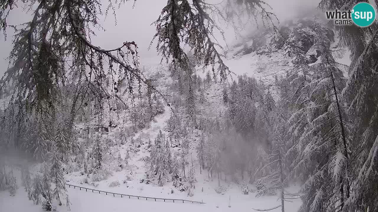 Webcam en direct Vršič – Maison Erjavčeva – Slovénie