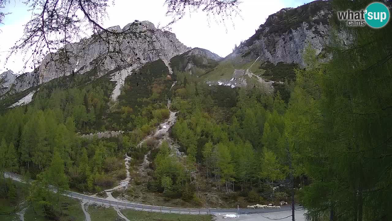 Live webcam Vršič – Erjavčeva house – Slovenia
