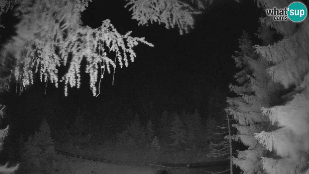 Cámara web en vivo Vršič – Casa Erjavčeva – Eslovenia