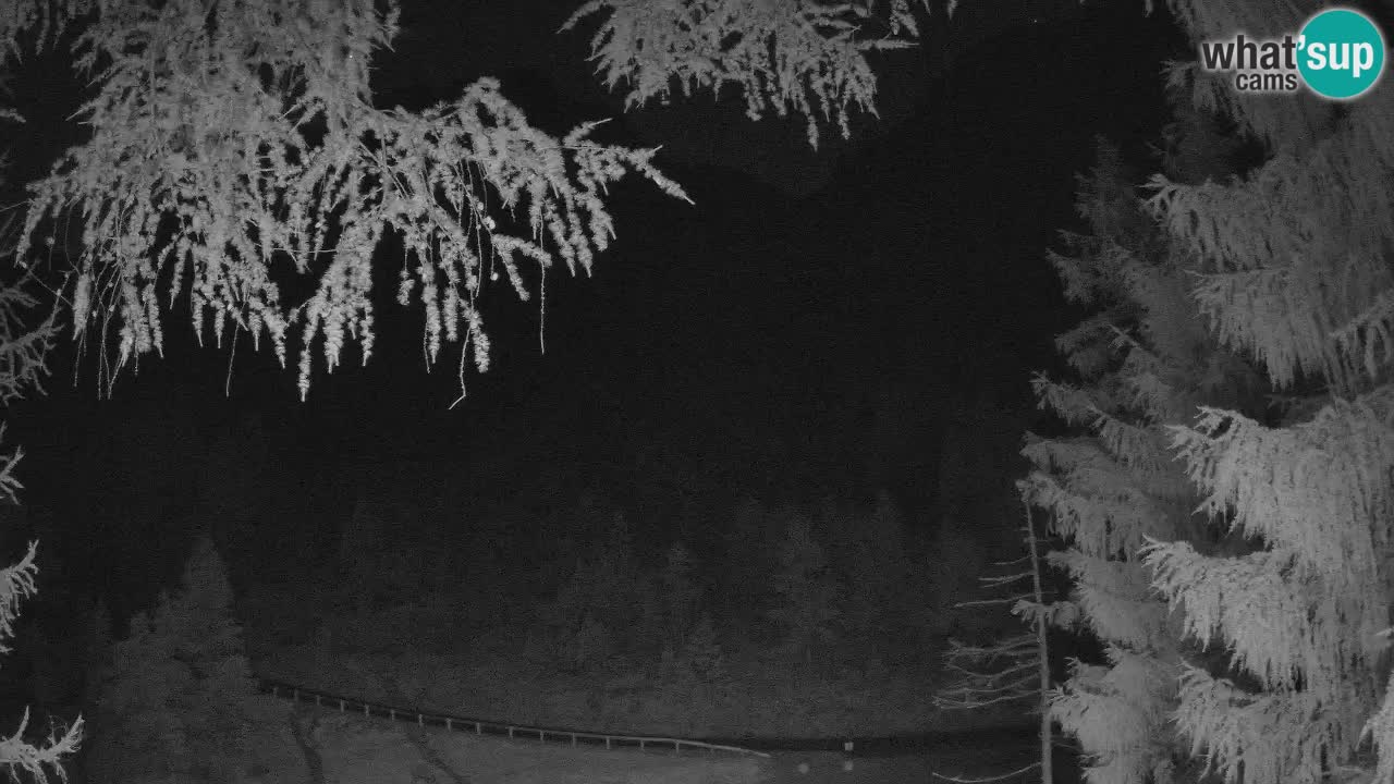Spletna Kamera Vršič – Erjavčeva hiša – Slovenija