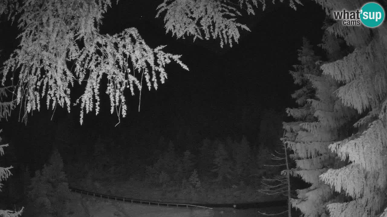 Live webcam Vršič – Erjavčeva house – Slovenia