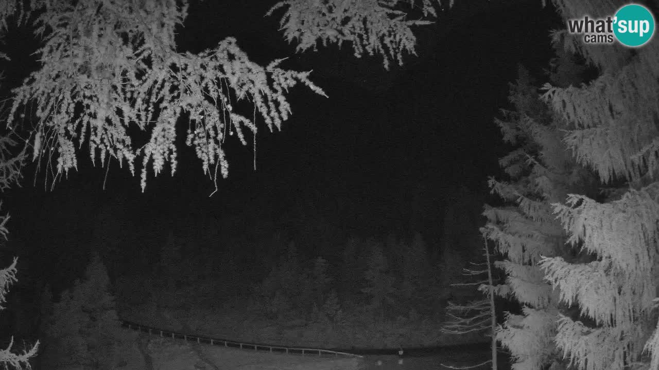Live webcam Vršič – Erjavčeva house – Slovenia