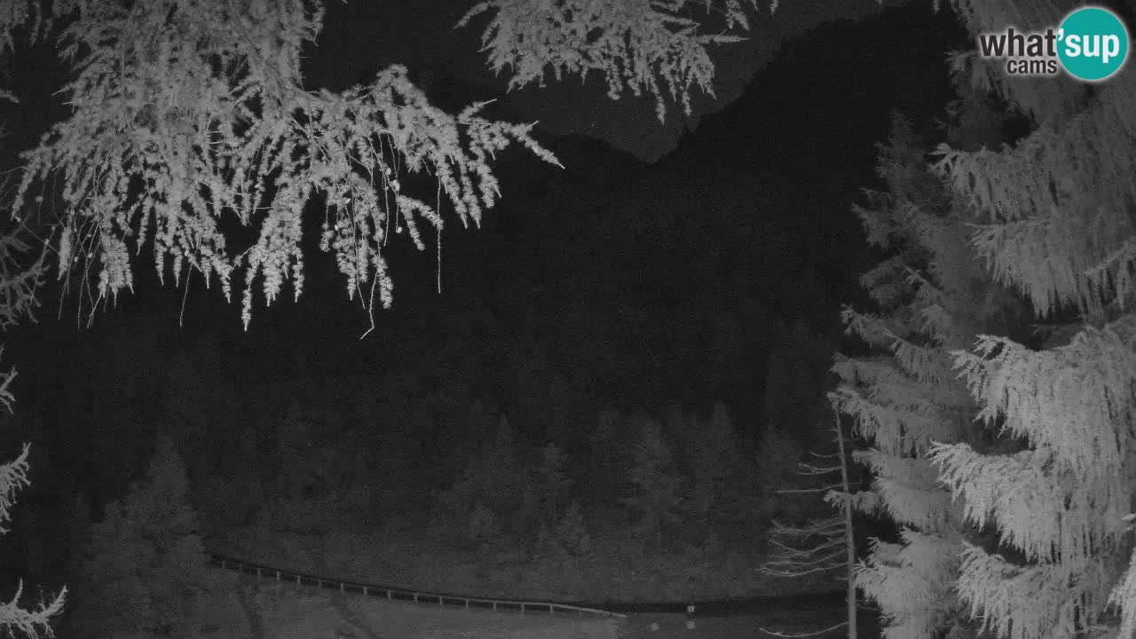 Live webcam Vršič – Erjavčeva house – Slovenia