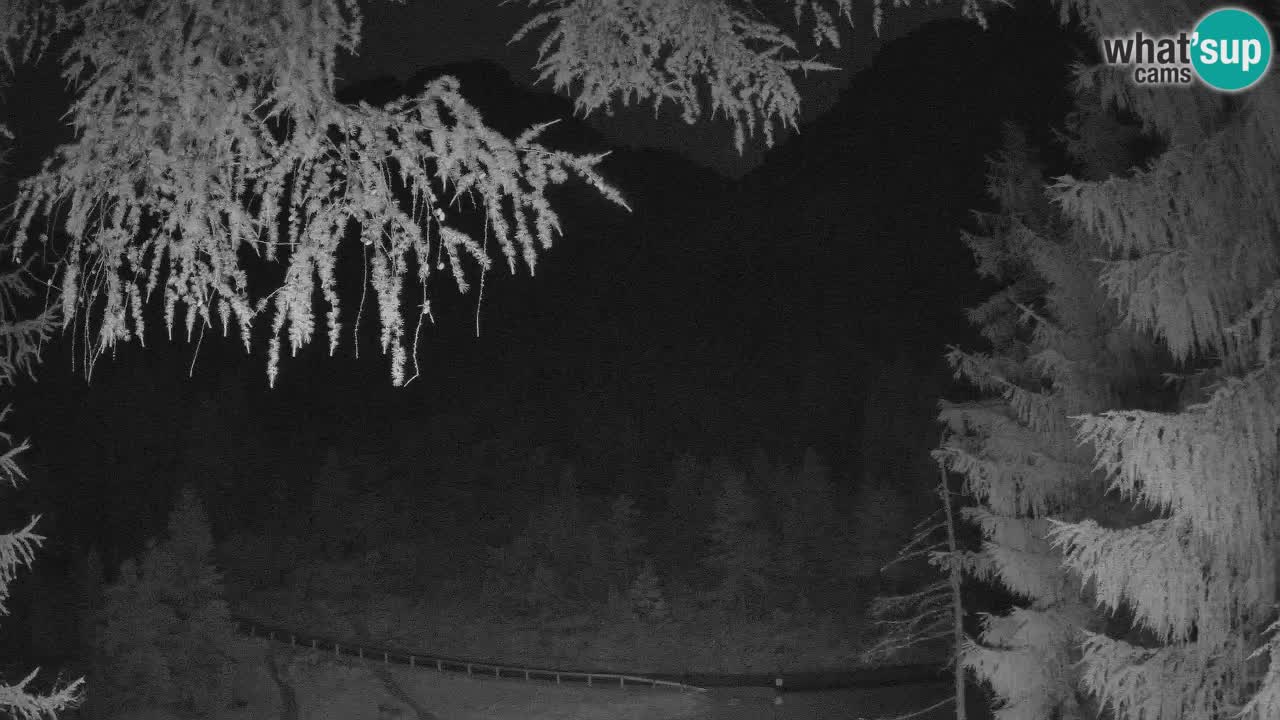 Cámara web en vivo Vršič – Casa Erjavčeva – Eslovenia