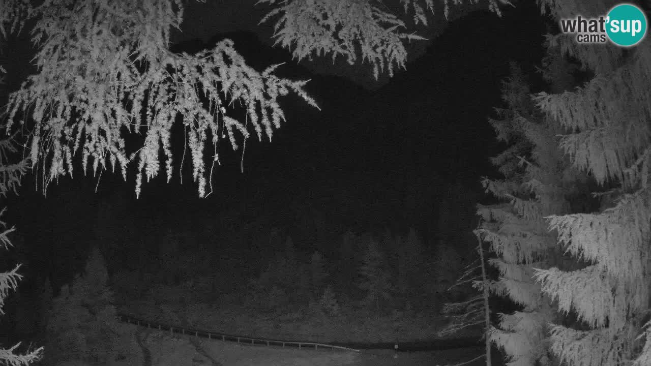 Cámara web en vivo Vršič – Casa Erjavčeva – Eslovenia