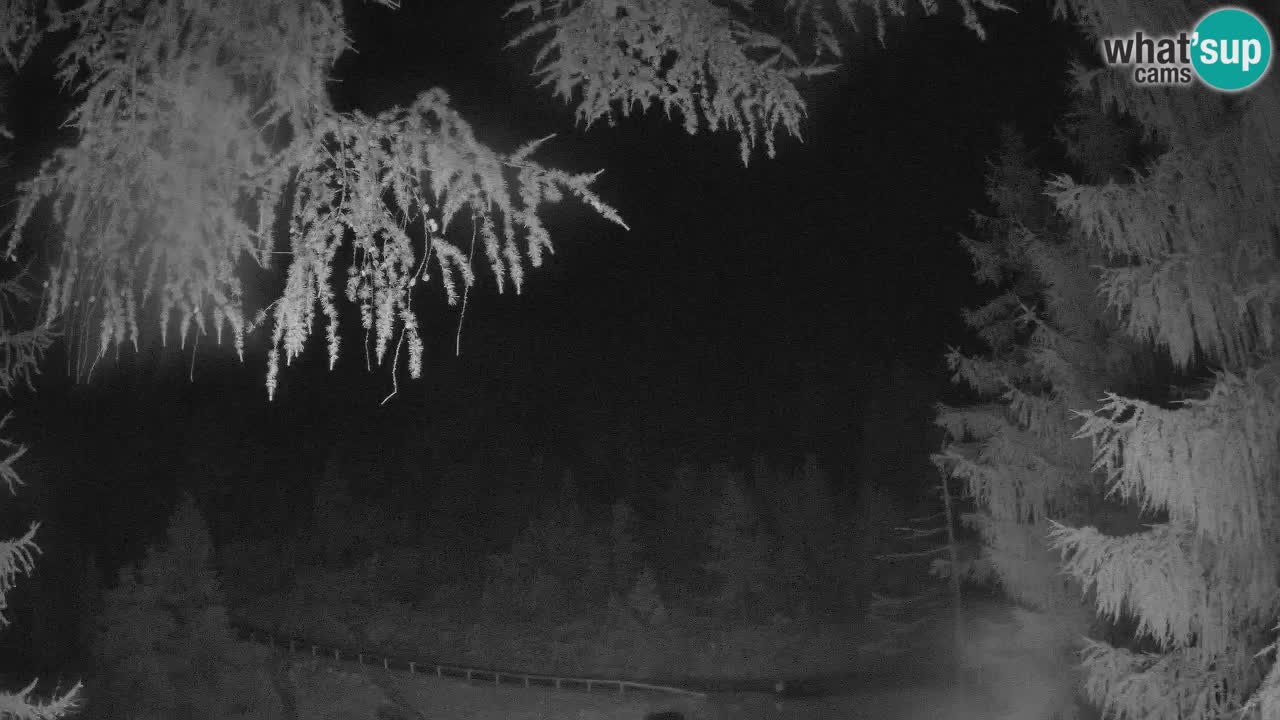 Live Webcam Vršič – Haus Erjavčeva – Slowenien