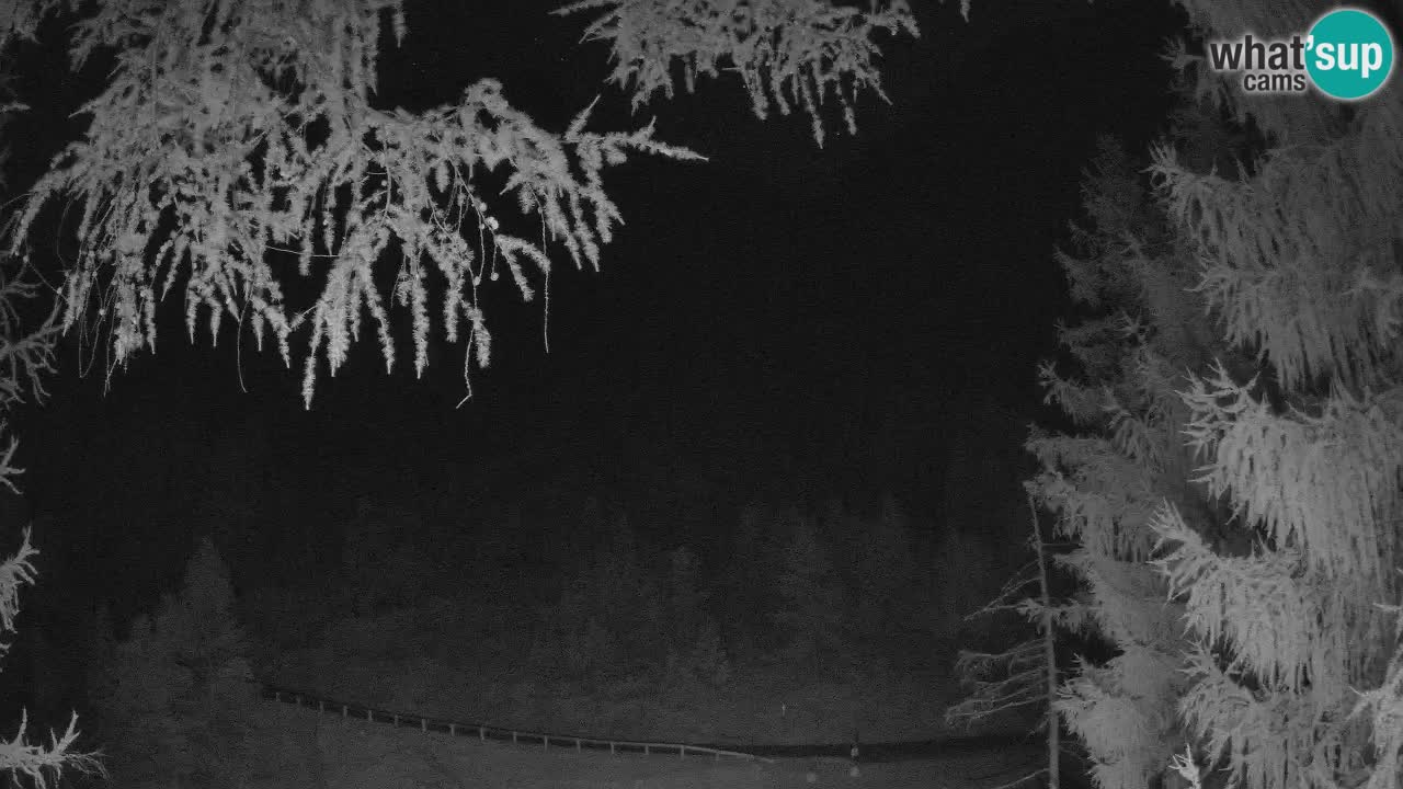Live Webcam Vršič – Haus Erjavčeva – Slowenien