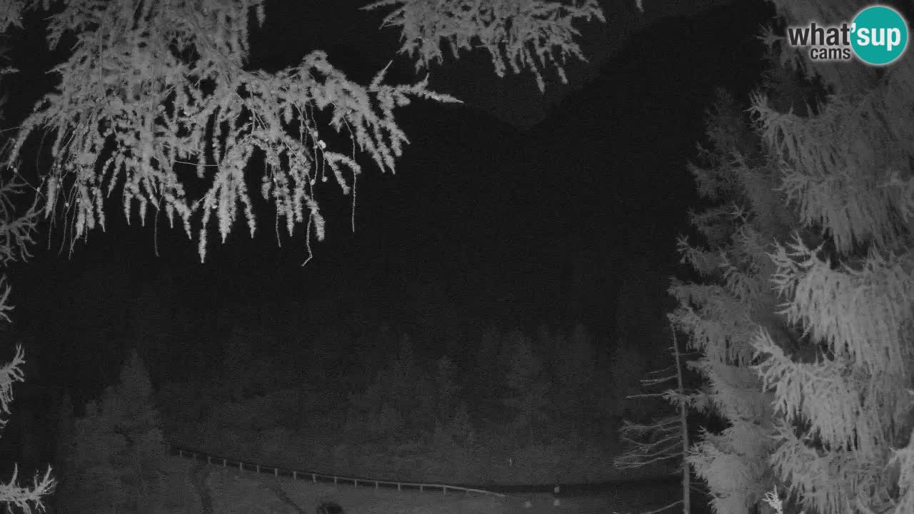 Cámara web en vivo Vršič – Casa Erjavčeva – Eslovenia