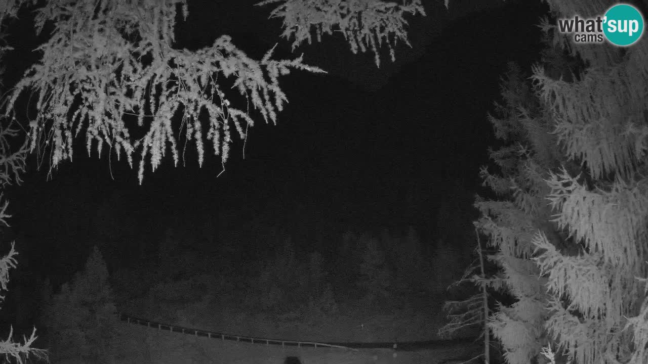 Cámara web en vivo Vršič – Casa Erjavčeva – Eslovenia
