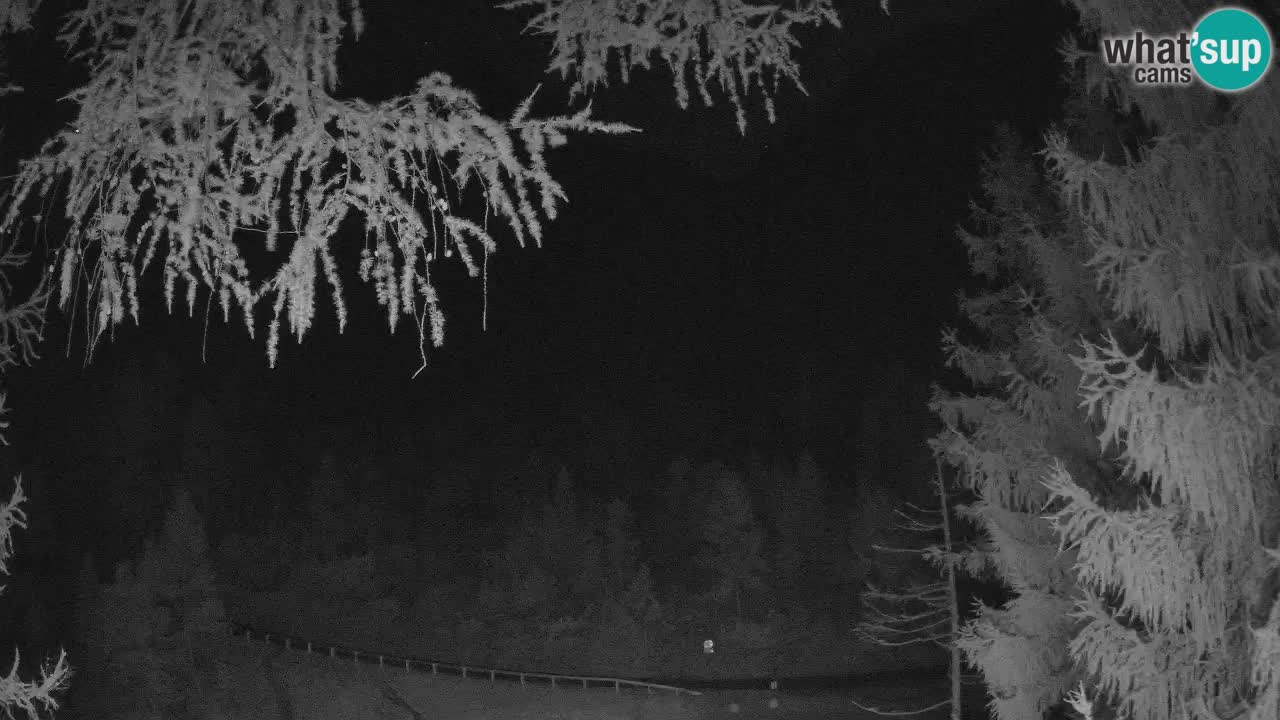 Spletna Kamera Vršič – Erjavčeva hiša – Slovenija