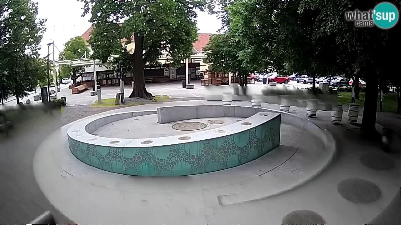 Bier-Springbrunnen Webcam Žalec – Grünen Goldes
