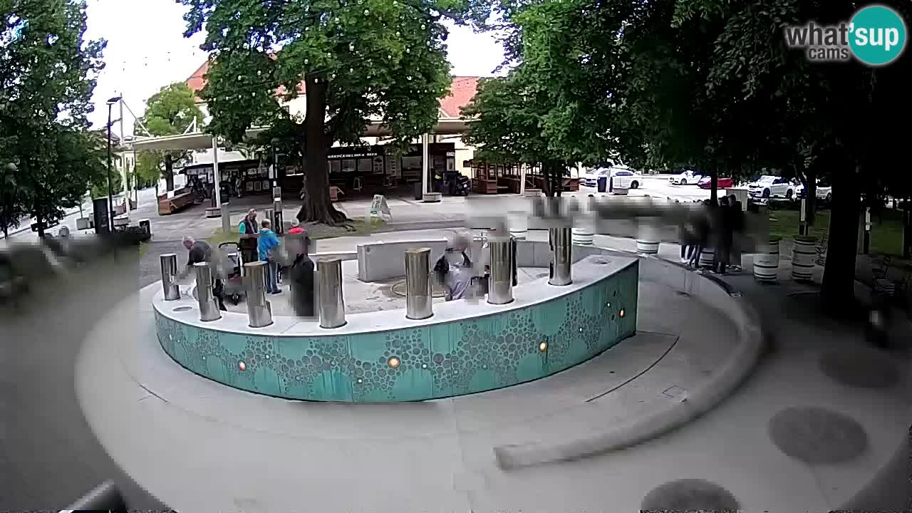 Bier-Springbrunnen Webcam Žalec – Grünen Goldes