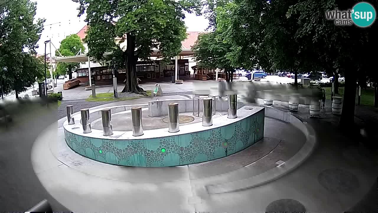 Fontana di birra Webcam – Oro verde – Žalec