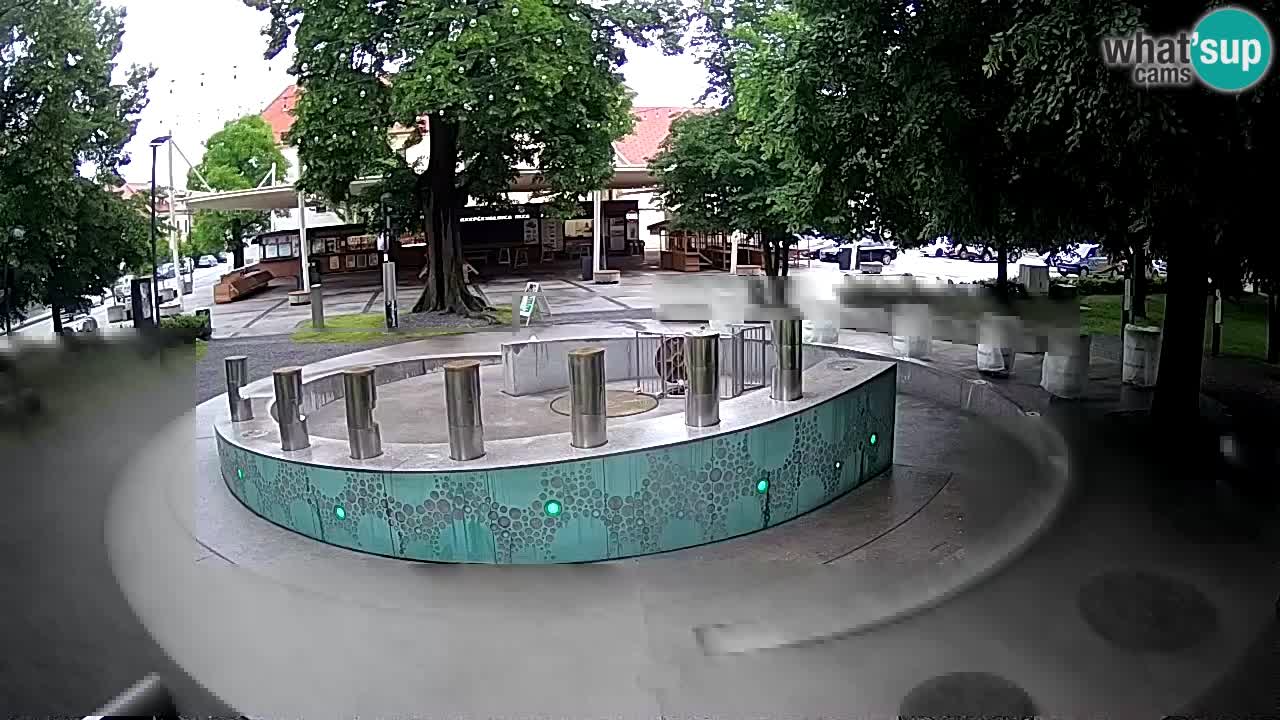 Fontaine à bière LIVE webcam – Or vert – Žalec