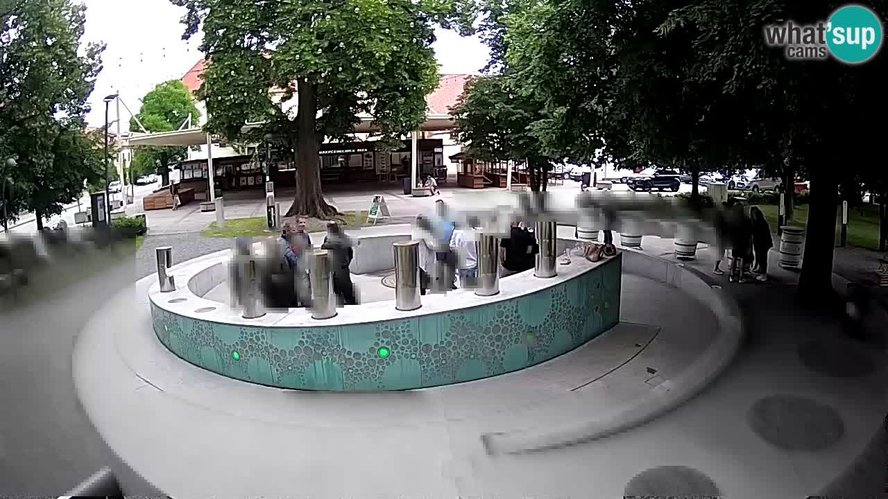 Fontaine à bière LIVE webcam – Or vert – Žalec
