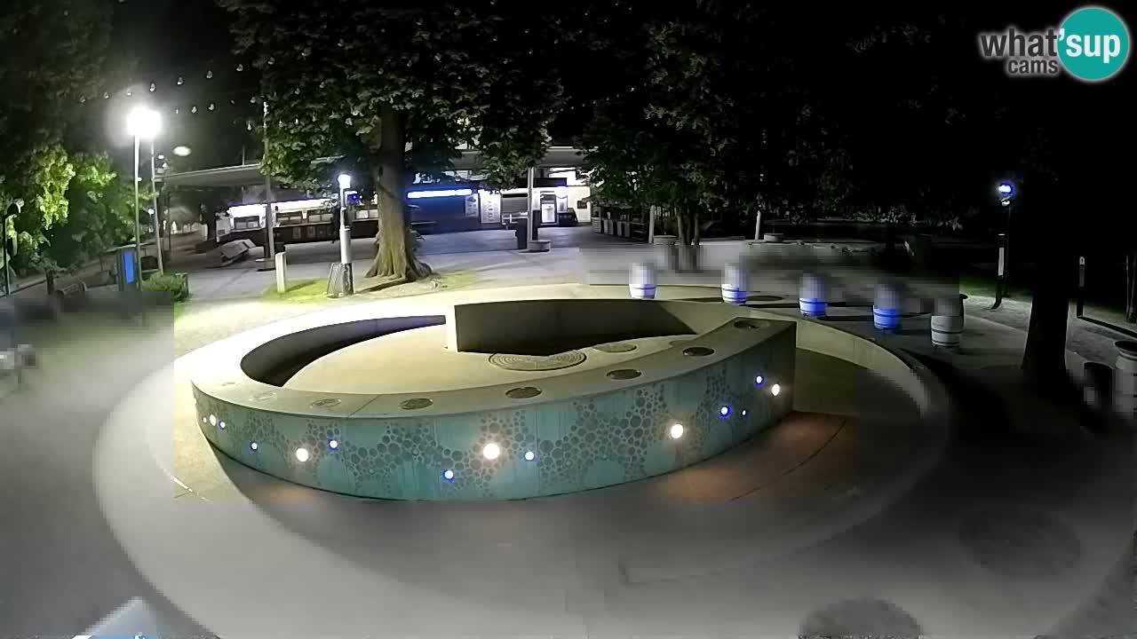 Fontana di birra Webcam – Oro verde – Žalec