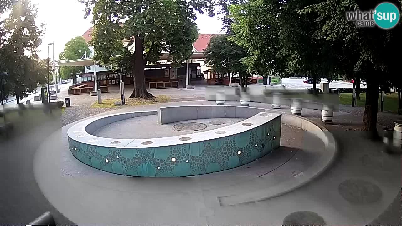 Fontaine à bière LIVE webcam – Or vert – Žalec