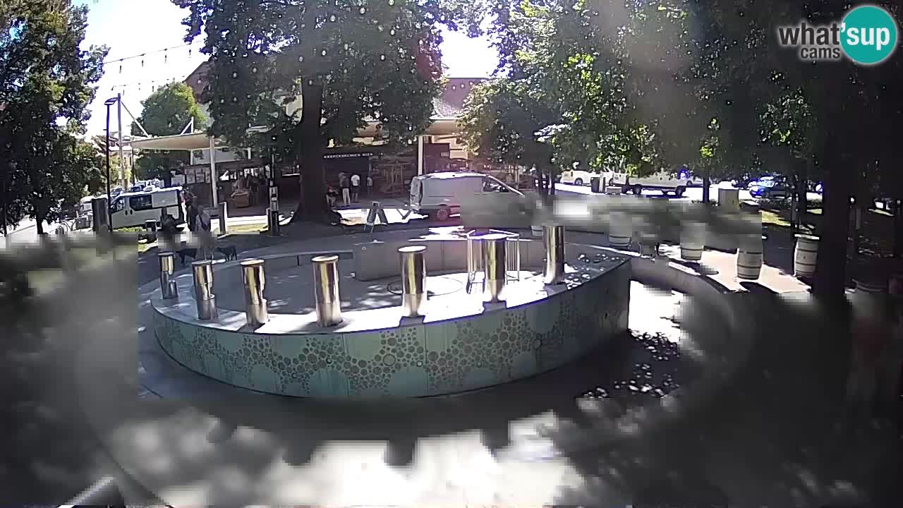 Fontaine à bière LIVE webcam – Or vert – Žalec