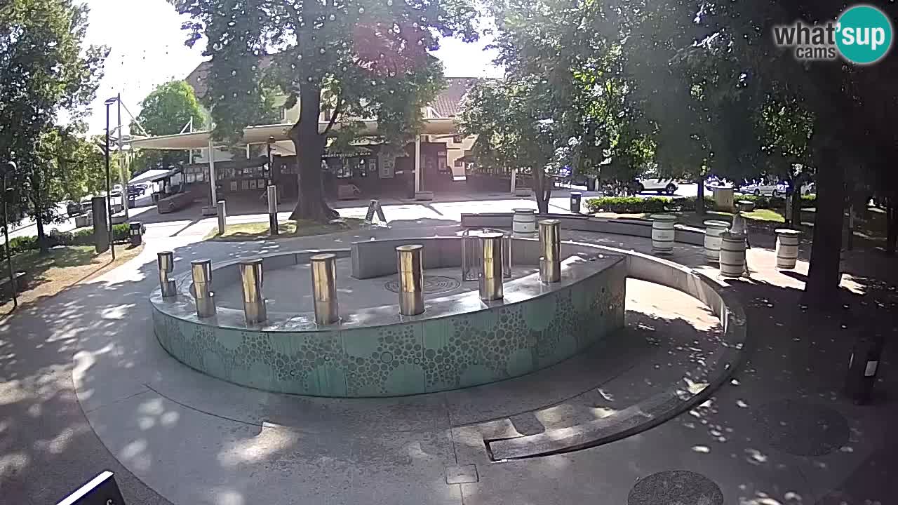 LIVEcam Beer fountain – Green Gold – Žalec – Slovenia