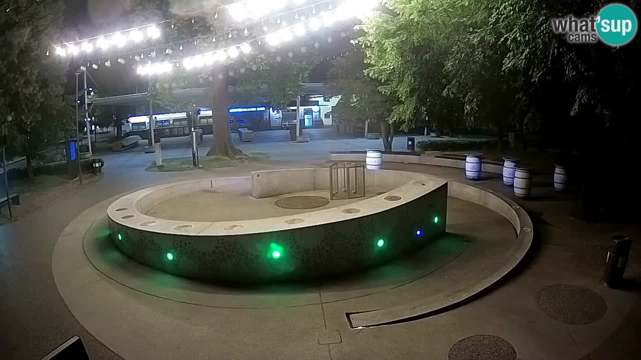Bier-Springbrunnen Webcam Žalec – Grünen Goldes
