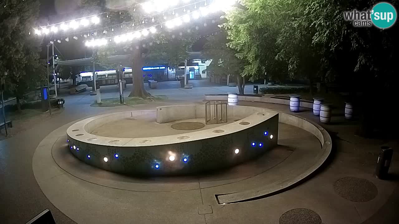 Camera en vivo Fuente de cerveza – Oro verde – Žalec