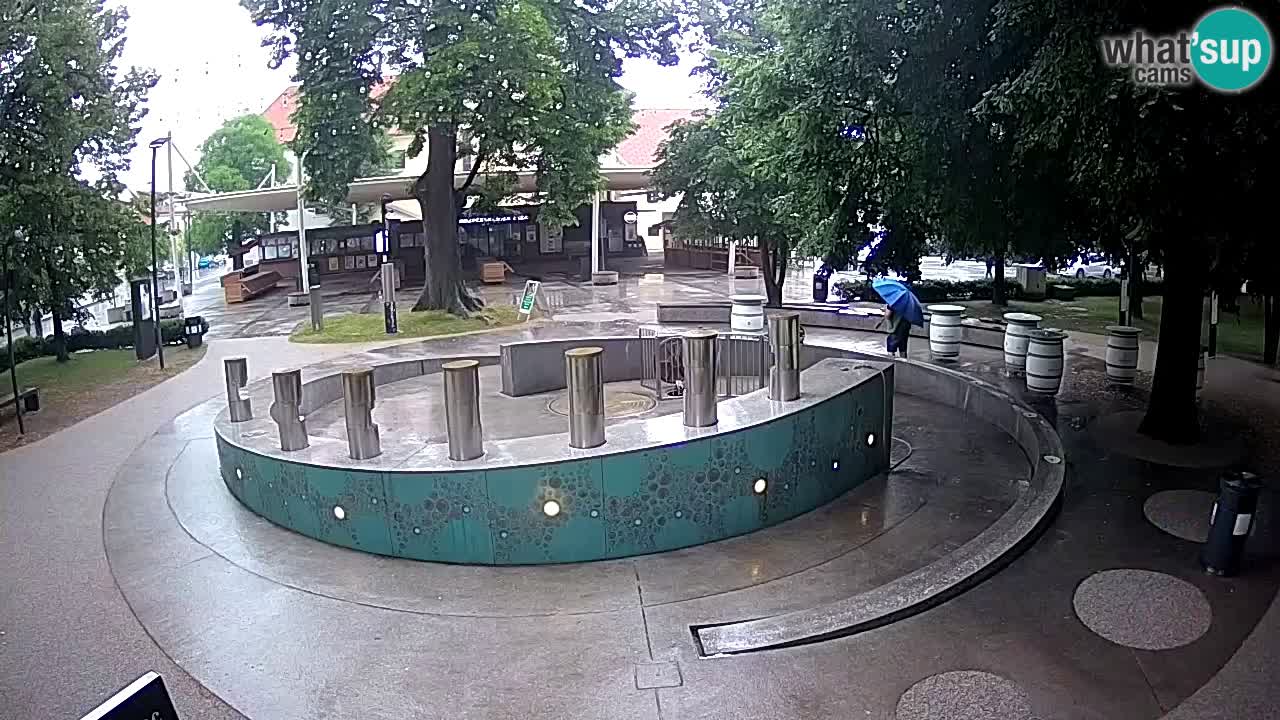 Bier-Springbrunnen Webcam Žalec – Grünen Goldes