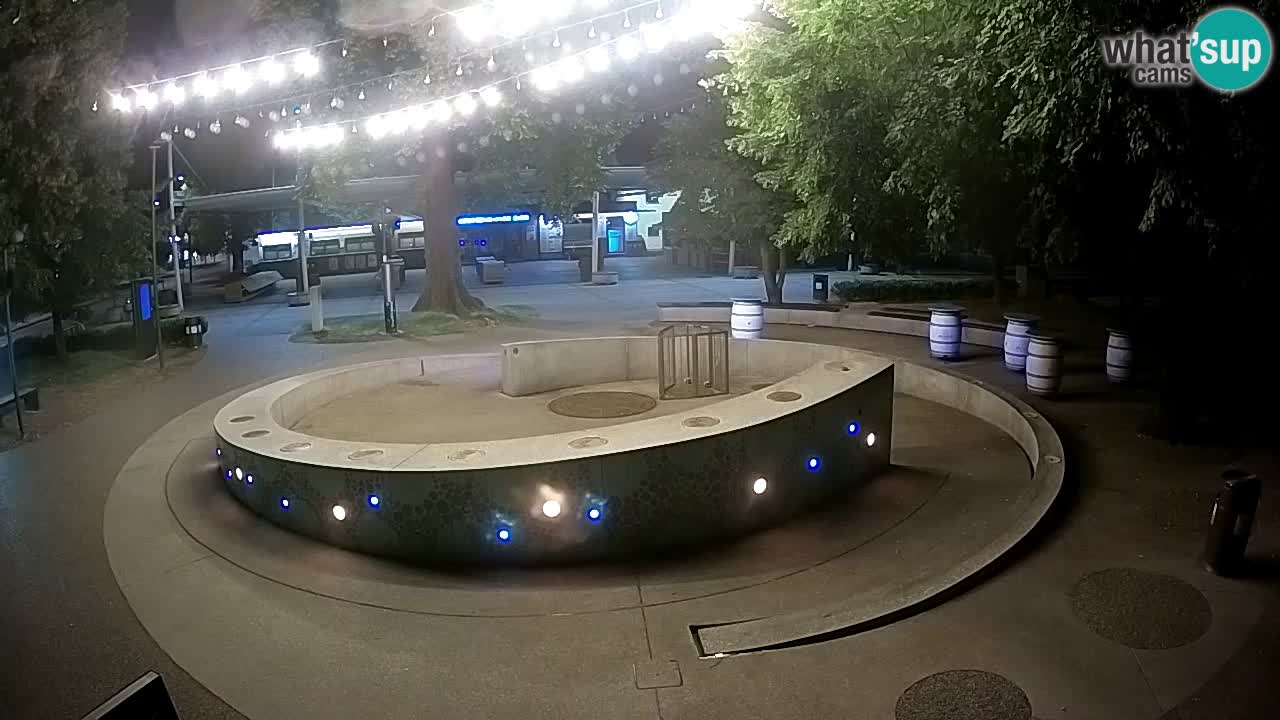 Fontaine à bière LIVE webcam – Or vert – Žalec