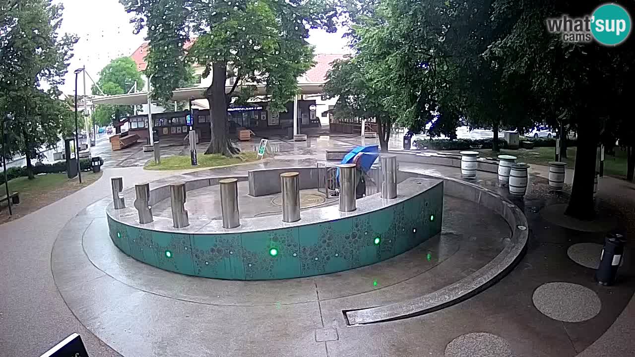Spletna kamera Fontana Piv – Zeleno zlato Žalec