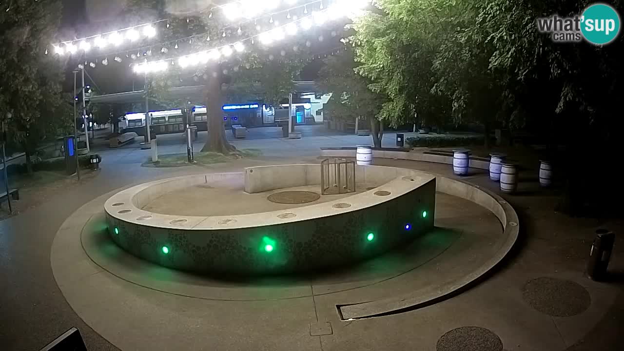 Camera en vivo Fuente de cerveza – Oro verde – Žalec
