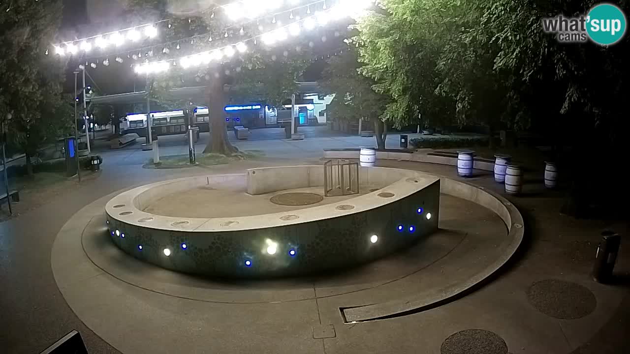 Bier-Springbrunnen Webcam Žalec – Grünen Goldes