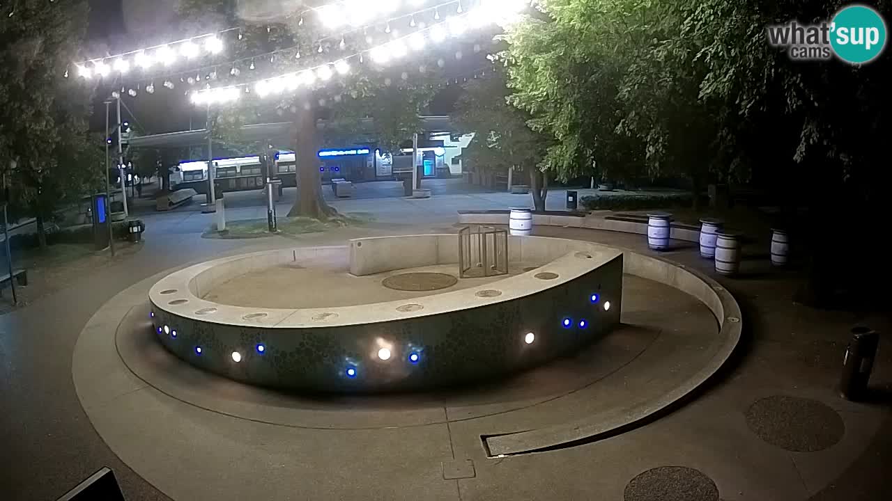 Bier-Springbrunnen Webcam Žalec – Grünen Goldes