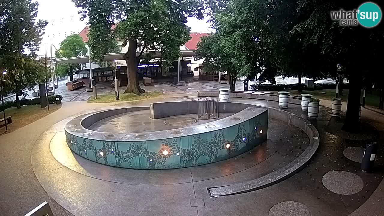 Web kamera Fontana piva – Zeleno zlato – Žalec