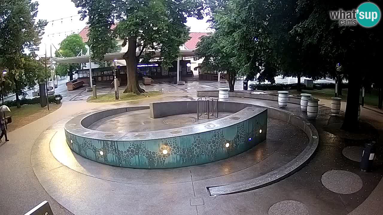Fontana di birra Webcam – Oro verde – Žalec