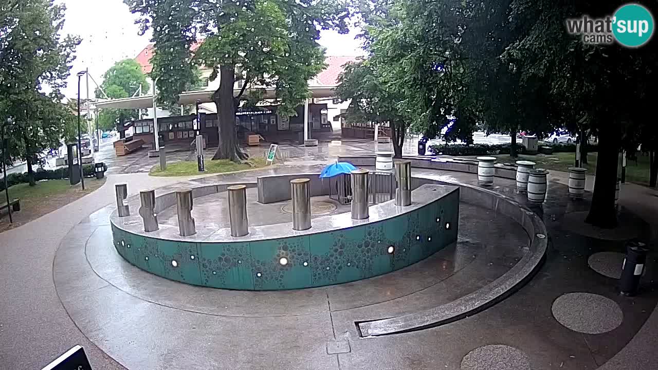 Fontana di birra Webcam – Oro verde – Žalec