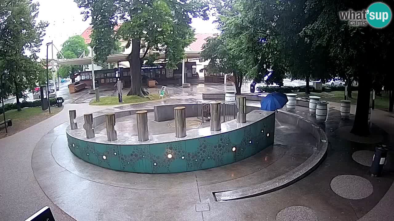Bier-Springbrunnen Webcam Žalec – Grünen Goldes