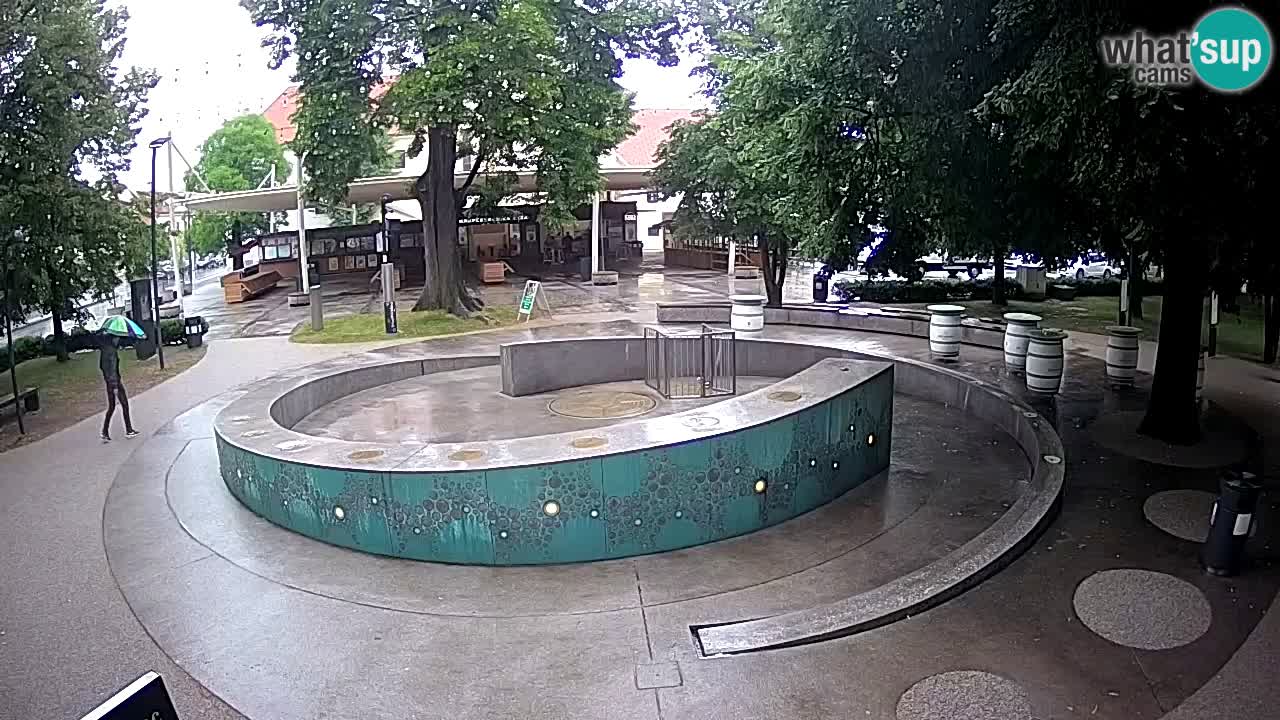 Fontana di birra Webcam – Oro verde – Žalec
