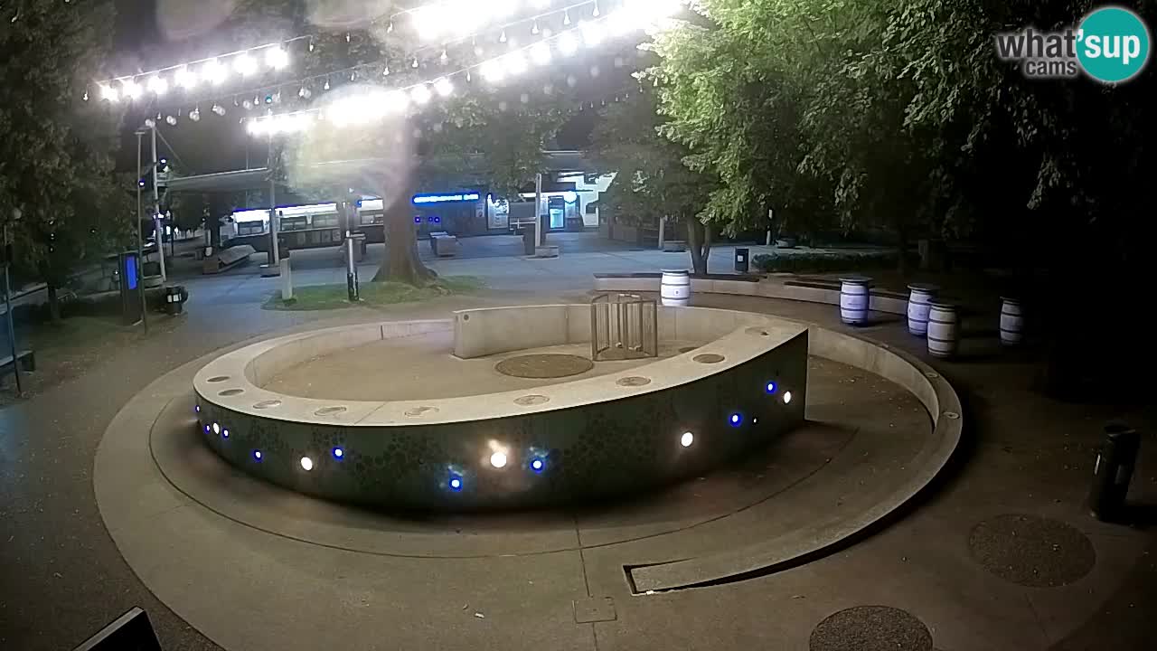 Bier-Springbrunnen Webcam Žalec – Grünen Goldes