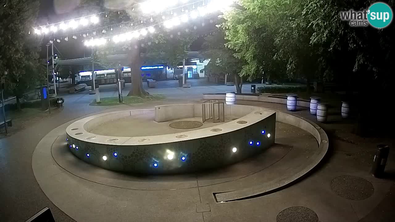 Camera en vivo Fuente de cerveza – Oro verde – Žalec