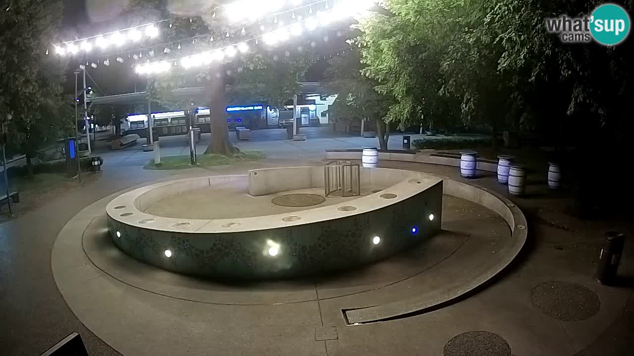 Camera en vivo Fuente de cerveza – Oro verde – Žalec