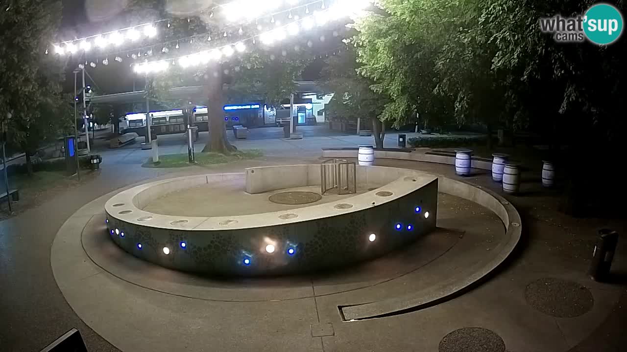Fontaine à bière LIVE webcam – Or vert – Žalec