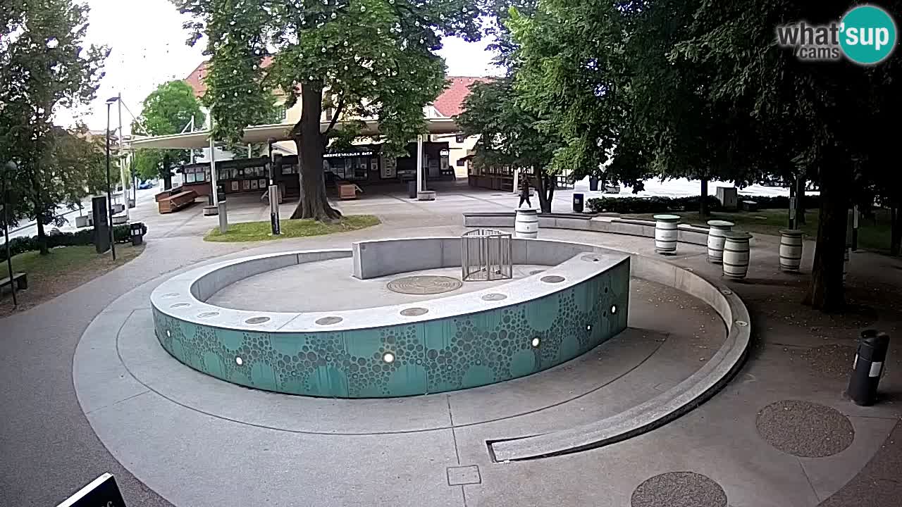 Camera en vivo Fuente de cerveza – Oro verde – Žalec
