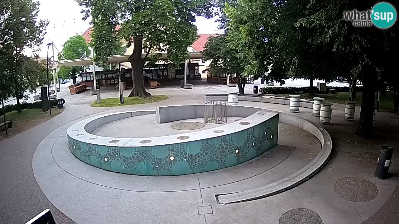 Web kamera Fontana piva – Zeleno zlato – Žalec