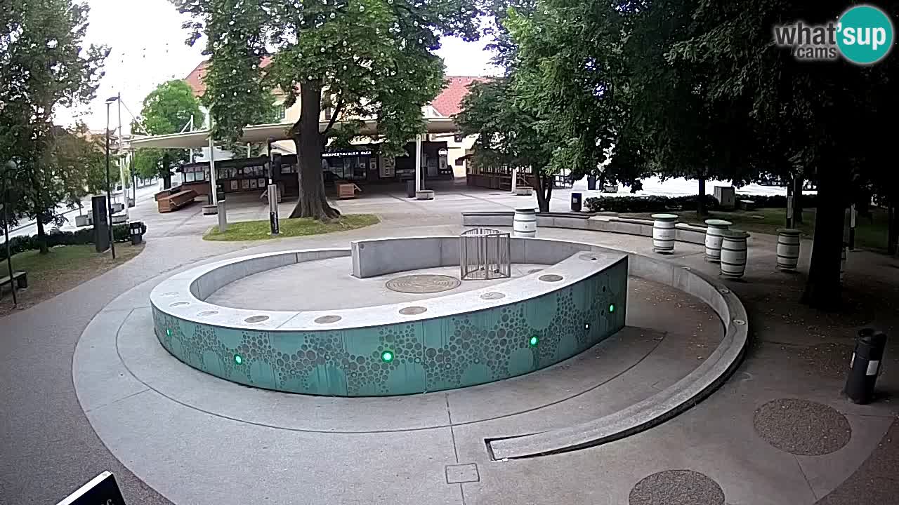 Bier-Springbrunnen Webcam Žalec – Grünen Goldes