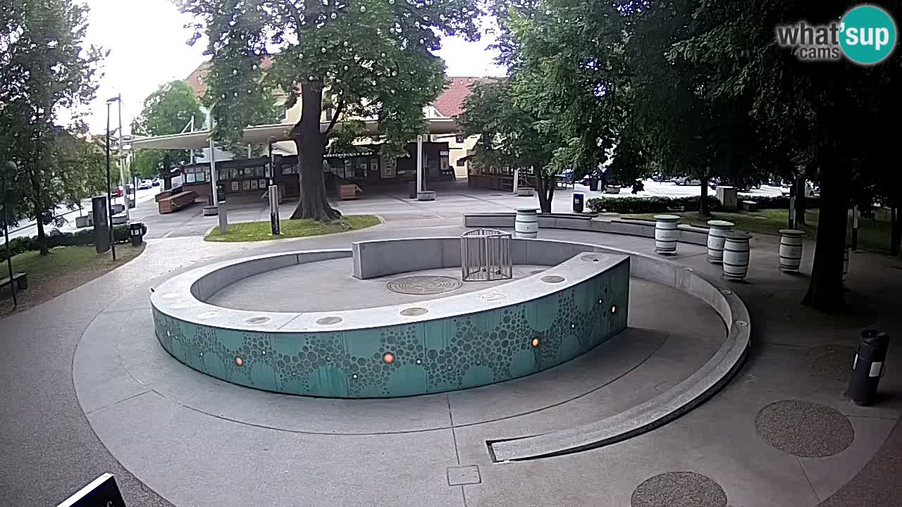 LIVEcam Beer fountain – Green Gold – Žalec – Slovenia