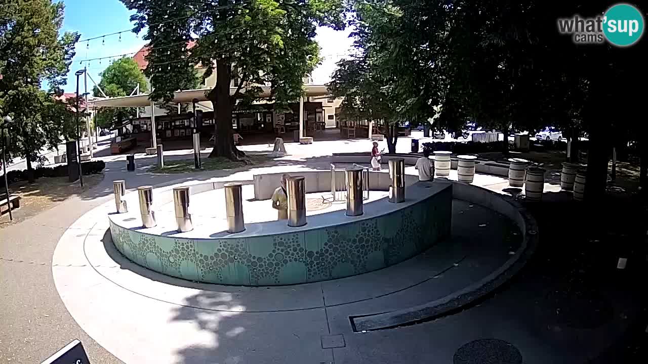 Spletna kamera Fontana Piv – Zeleno zlato Žalec