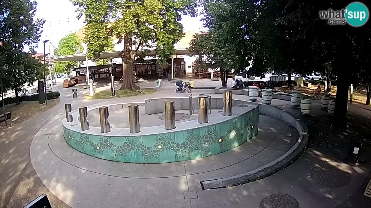 Bier-Springbrunnen Webcam Žalec – Grünen Goldes