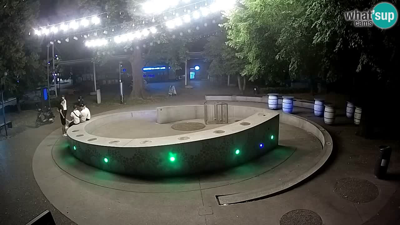 Bier-Springbrunnen Webcam Žalec – Grünen Goldes