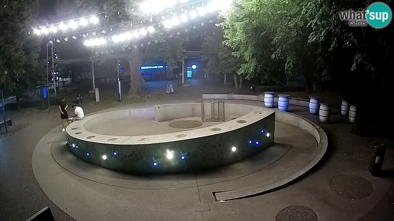 Camera en vivo Fuente de cerveza – Oro verde – Žalec